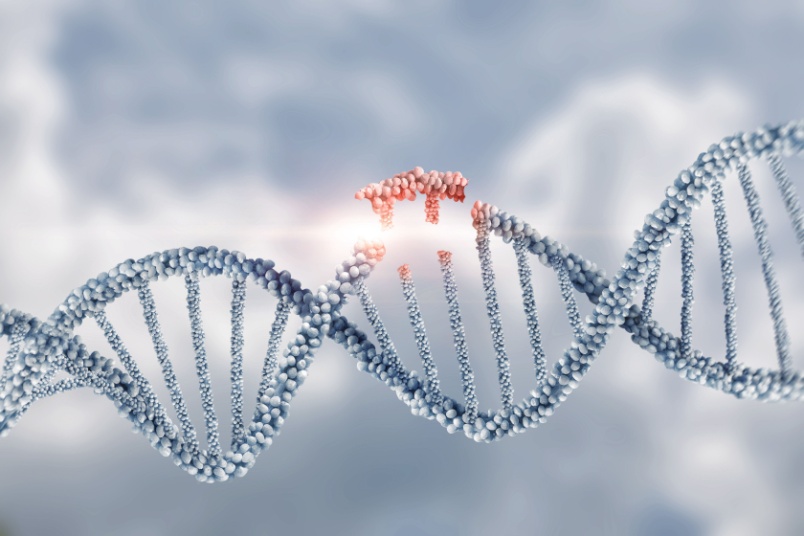 Collapsing DNA molecules - AndroNeo